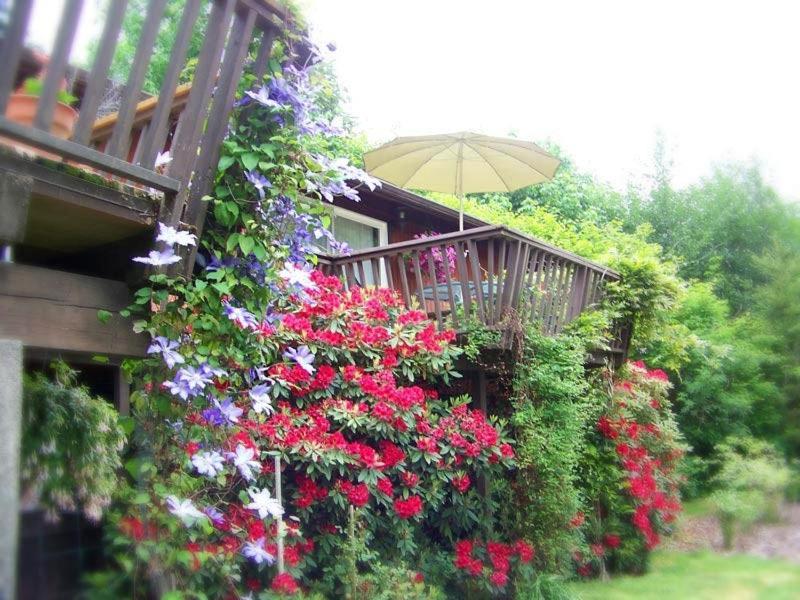 Misty Valley Inn Forks Exterior foto
